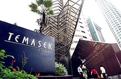 Temasek Rice Ready To Take On Global Market After Grant of Plant Varieties Protection