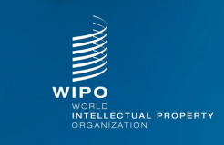 SPC vice-president meets with director of WIPO Arbitration and Mediation Center