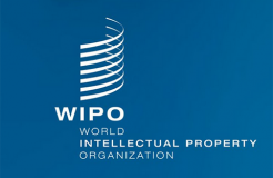 WIPO’s Coordination Committee Nominates Singapore’s Daren Tang for Post of Director General