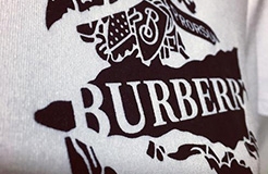 Burberry Wins Preliminary Injunction Against Baneberry at Suzhou, China’s Intermediate People’s Court for Trademark Infringement