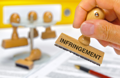 Trademark Infringement Litigation Case Study: Uncle Bud's