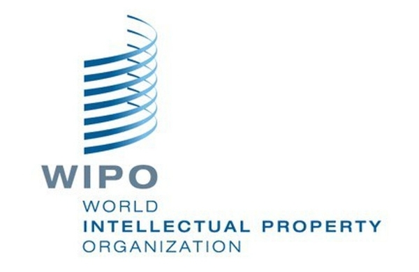 WIPO China: Hague Yearly Review 2023