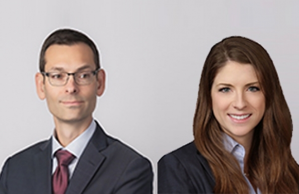 Combatting Cybersquatting via Multiple Domain Names Under the Anti-Cybersquatting Consumer Protection Act—A More Effective Weapon Against Widespread Cybersquatting