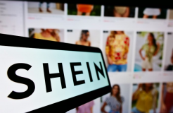 From Procedure to Substance: A Case Chronicle of Victory in the SHIEN.COM Domain Name Case