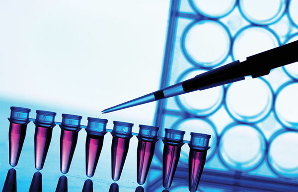 PCRstriptesttubes_sciencephoto_444253720_1200x675.jpg